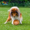 Novelty Place Inflatable Beach Balls - 3 Pack, 12" Beach Basketball for Kid - Summer Beach Pool Party Supplies, Fun Floating Toys
