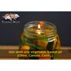 Ner Mitzvah Pre-Assembled Round Floating Wicks - 50 Count - Cotton Wicks and Cork Disc Holders for Oil Cups