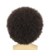 karlery Adult Men Women Afro 70s 80s Curly Dark Brown Wig Rocker Party Wig California Halloween Costume Wig