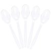 Plasticpro Clear Plastic Tea Spoons Disposable Cutlery Utensils 300 Count