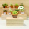Dollhouse Decoration Plant Pots Miniature Green Potted Miniature Bonsai Model Dollhouse Accessories Decor,1 12 Scale Doll House Miniature Plant Model (4 Different Green Plant)