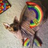 Yeowww! Catnip Toy, Rainbow (New Version)