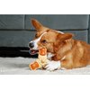 Hartz Chew ‘n Clean Chew Toy and Treat in One Chicken Flavored Tri-Point Dog Toy, Medium