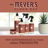 MRS. MEYER'S CLEAN DAY Gingerbread 2 Pack Variety, Liquid Hand Soap 12.5 FL OZ, Dish Soap 16 FL OZ, 1 CT