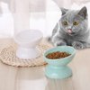 Raised Cat Food Bowls Ceramic - Tilted Elevated Cat Bowls Anti Vomiting - 4.9 in Small Cat Bowl for Dry Wet Food - Stress Free Shallow Cat Feeding Bowls for Whisker Fatigue - Dishwasher Safe - 4oz