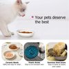 Y YHY Cat Bowls, Cat Dishes 5OZ Cat Food and Water Bowls for Dry and Wet Food 3 Set Wide Dish White Cat Bowl for Indoor Cat, Dog, Kitten, Puppy, Rabbit