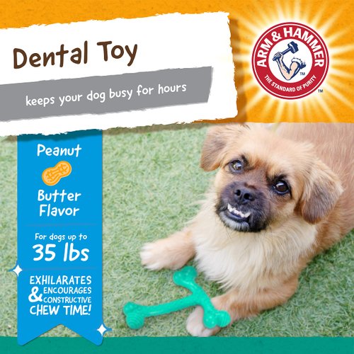 Arm & Hammer Nubbies T-Bone Dental Dog Chew Toys, Peanut Butter Flavor - Durable Nylon Chewing Toys for Dogs, Done Bone Toy, Teeth Cleaning Bones for Chewers Help Remove Plaque and Tartar