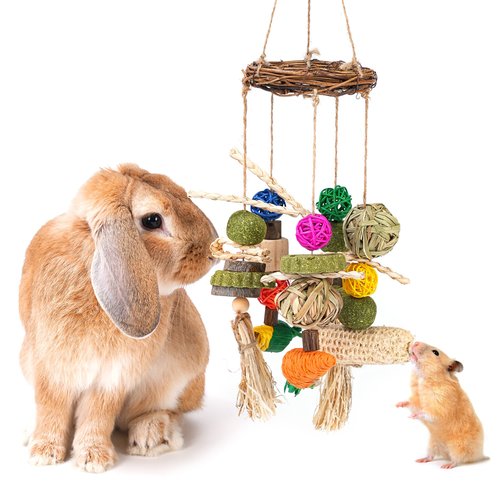 YDFAZXY Rabbit Chew Toys for Teeth, Bunny Cage Hanging Chew Toys and Treats for Rabbits, Rattan Ring with Snacks for Guinea Pigs Hamsters Chinchillas Rats Gerbils and Other Small Pets Teeth Grinding