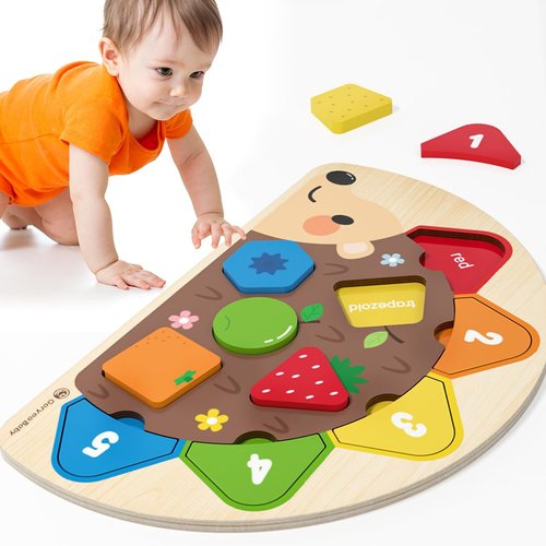 Montessori Toys Shape sorter and Puzzle Playmate Fine Motor Game Color and Shape Recognition Toddler