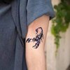 3D Scorpion Temporary Tattoos Temporary Tattoos Stickers Fashionable Fake Tattoos Removable Waterproof Body Art Tattoo Stickers for Men Women Teens Girls Boys, Makeup Body (Scorpion)