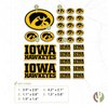 Desert Cactus University of Iowa Sticker Hawkeyes Stickers Vinyl Decals Laptop Water Bottle Car Scrapbook11.46x8.94 T1 (Type 1-1)