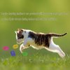 BenePoint Cat Spring Toys, Interactive Cat Toy for Swatting, Hunting,and Grinding Teeth, Durable Cat Springs for Indoor Cats to Promote Agility& Keep Fit, Plastic Cat Coil(8pcs)