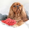 MONDOTOY Dog Chew Toy,Durable Rubber Slipper Toy for Puppy,Dog Tough Toys for Pet Training and Cleaning Teeth,Interactive Puppy Toys Aggressive Chewers Small Meduium Breed