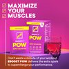 EBOOST POW Natural Pre Workout Powder –15 Packets - Berry Melon Fizz - A Pre Workout Supplement for Performance, Joint Mobility Support, Energy, Focus - Men & Women - Non-GMO, Gluten-Free, No Creatine