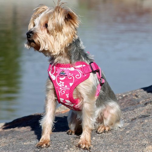 DOGGIE DESIGN Wrap and Snap Choke Free Dog Harness (Pink Hibiscus, S)