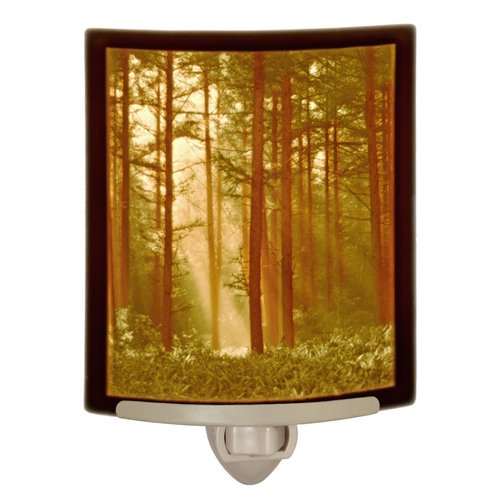 The Porcelain Garden Colored Woodland Sunbeams Porcelain Lithophane Night Light, Decorative Wall Plug in Nursery, Bedroom Kitchen, Bath, Hallway Nature Forest Themed Accent Light
