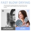 Daily Gard Detangling Brush, Dry and Wet Vented Detangler Hair Brush for Women and Men, Professional Paddle Curved Styling Hairbrush for Straight/Curly/Thick/Long/Wavy/Damaged Hair, Blue