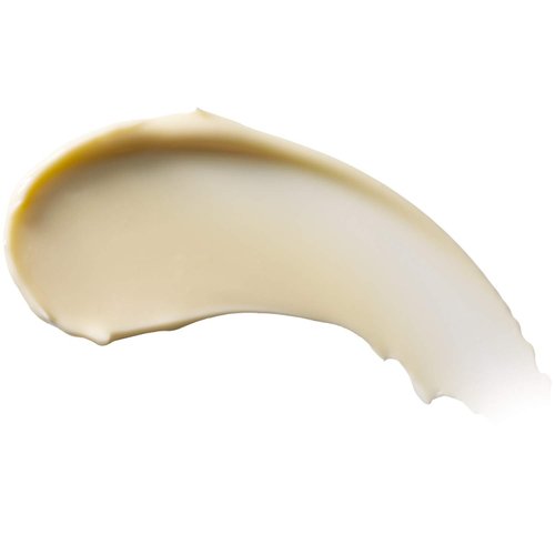 Burts Bees Body Lotion for Normal to Dry Skin with Milk & Honey, 12 Oz (Package May Vary)