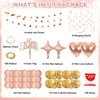 Girl Rose Gold Birthday Party Decorations, Rose Gold Happy Birthday Banner, Tassel Curtain Decorations, Confetti Balloons, Age Number Foil Balloons, Birthday Cake Decorating Supplies (16)