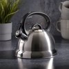 Mr. Coffee Flintshire Stainless Steel Whistling Tea Kettle, 1.75-Quart, Brushed Satin