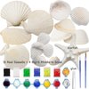 COUCHINLARY DIY Natural Sea Shells Painting Kit for Kids Children Starfish Glow in The Dark Arts&Crafts Kit Gifts Creative Art Toys for Girls Boys Age 4+,5, 6, 7, 8, 9, 10, 11, 12 Year Old