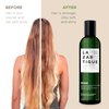 Lazartigue Repair Shampoo, Vegetal Keratin for Deep Repair & Shine, Vegan, Sulfate-Free, Silicone-Free, for Damaged Hair, 8.4 Fl. Oz.