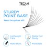 TEGAN LASH 500 Promade Fans Volume Eyelash Extensions, Handmade Loose False Eyelashes, From 3D - 16D, 0.03/0.05/0.07 Thickness, C/CC/D Curl, 9-15mm Length, Pestanas Pelo A Pelo (12D-0.03-C-12)