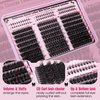 Goddvenus Eyelash Clusters Volume Waterproof Cluster Lashes D Curl Faux Mink Cluster Eyelash Extensions Fluffy Individual Lashes 240pcs and Bottom Lashes 60pcs for DIY Eye Lash Extension