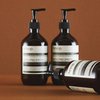 Aesop Reverence Aromatique Hand Wash | Cleanse and Exfoliate the Hands | With Botanical Extracts And Finely Milled Pumice | 16.9 oz