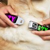 Dog Collar Seatbelt Buckle Party Time Black Green Turquoise Fuchsia 9 to 15 Inches 1.0 Inch Wide