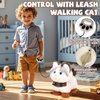 Jimate Walking Cat Toys for Kids with Leash, Plush Toy Cat That Walks and Meows, Interactive Cat Toy for Kids Aged 3-7, Best Birthday, Children's Day for Girls and Boys