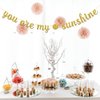 Dalaber You are My Sunshine Party Banner -Wedding, Birthday, Baby Shower Party Decorations - Kids Boys Girls Birthday Party Supplies