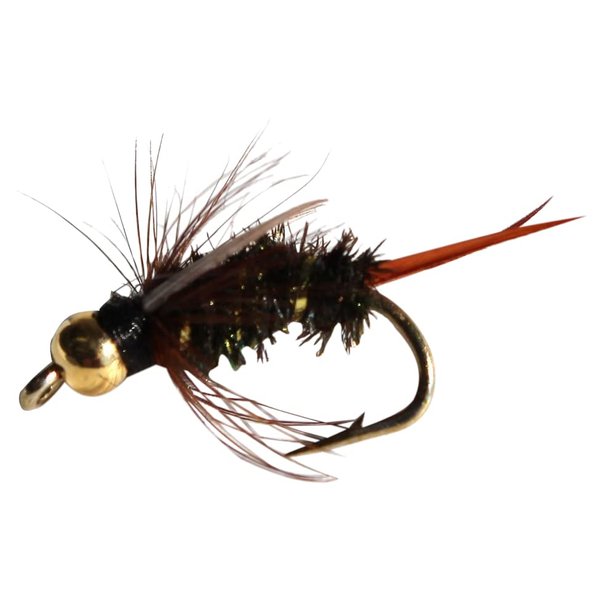Flies Direct BH Prince Nymph Assortment Trout Fishing Flies (1-Dozen), Black