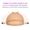 GOLRESOL Elastic Bands For Wigs, Wig Band for Wigs Edges Wrap to Lay Edges, Lace Melting Band for Keeping Wigs in Place, Wig Accessories, Wig Grip Headband to Keep Wig Grip No Slip (Nude, 2pcs)
