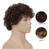 Salaibs Mens Short Curly Brown Wig California Cosplay Costume Daily Hair Wig Synthetic Heat Resistant Wigs for Male Guys