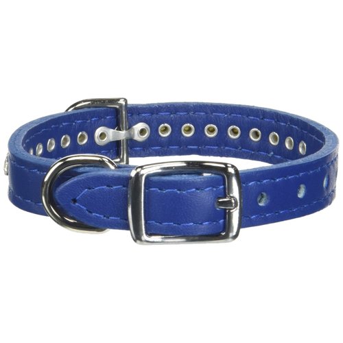 OmniPet Signature Leather Crystal and Leather Dog Collar, 12", Blue