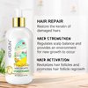 Rice Water Hair Growth Conditioner with Biotin 10 Fl Oz, Rice Water Hair Conditioner for Hair Growth, Improve Strength, Volume, and Shine, Softens & Moisturizes Dry, Frizzy, Damaged Hair.