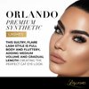 Lilly Lashes Premium Synthetic Lashes Orlando | Fake Eyelashes Natural Look | Fluttery Lashes | Full Bodied Look | False Lashes | Vegan Strip Lash | Reusable Up to 10 Wears | 15mm