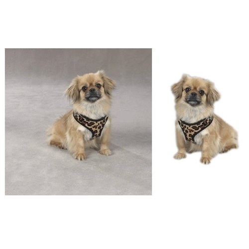 Zack & Zoey Zebra or Leopard Print Soft Plush Dog Harness Durable Reliable Walk Safety(XSmall Leopard Print)