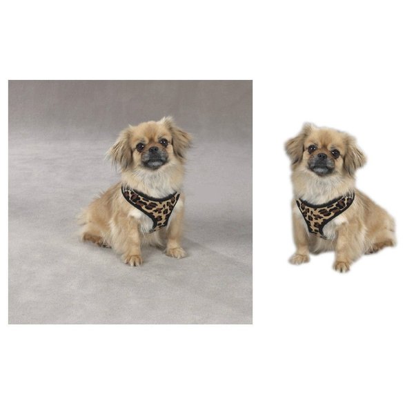 Zack & Zoey Zebra or Leopard Print Soft Plush Dog Harness Durable Reliable Walk Safety(XSmall Leopard Print)