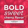Softlips Lip Protectant/Sunscreen, Value Pack, Cherry, Twinpack