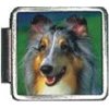 Clearly Charming Sheltie Italian Charm Bracelet Link