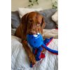 BULLTUG - Octopus Dog Toy Set | 3-in-1 Interactive Fun: Squeaky Plush Octopus with Crinkly Bungee Arms, Durable Life Ring, Hidden Spiky Squeaker | Easy to Clean, Dog Sizes