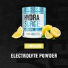 HYDRASURGE Electrolyte Powder - Hydration Supplement with Key Minerals, Himalayan Sea Salt, Coconut Water, More - Keto Friendly, Sugar Free & Naturally Sweetened - 60 Servings, Refreshing Lemonade