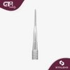 STALEKS PRO Expert PE 60/3 Ingrown Nail Lifter Pedicure Tool Surgical Grade Stainless Steel for Home Personal Use Durable (INGROWN TOENAIL LIFTER + STRAIGHT FILE)