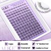 ALICE Cluster Eyelash Extension Kit Natural Wispy Lash Clusters Kit Lash Extension Kit Clear Band 168pcs C Curl 11-13mm Individual Lashes with Lash Glue Bond and Seal Self Application at Home