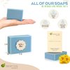 Aspen Kay Naturals Arnica and Mint soap, vegan, olive oil, shea butter, coconut oil, essential oils, palm oil, cold processed. for all skin types, sensitive skin, MADE IN THE USA (1 pack)
