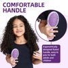Daily Gard 2 Pack Detangler Hair Brush and Mini Hair Brush, Dry and Wet Hair Brush for Women Men Girls, Detangling Hairbrush for Wet/Dry/Curly/Thick/Long/Wavy/Damaged Hair, Purple