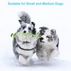 Depets 4PCs Dog Rope Toy, Assorted Puppy Rope Chew Toys, Durable Rope Knot Dog Toy, Puppy Teething Playing Toys for Small Dogs Puppies