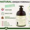 ecoLove - Natural and Organic Liquid Hand Soap - Organic Cucumber, Spinach & Parsley - No SLS or Parabens - Vegan and Cruelty-Free Hand Soap, 17.6 oz